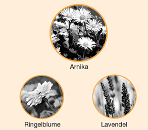 3 naturliche Wirkstoffe