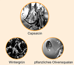 3 naturliche Wirkstoffe