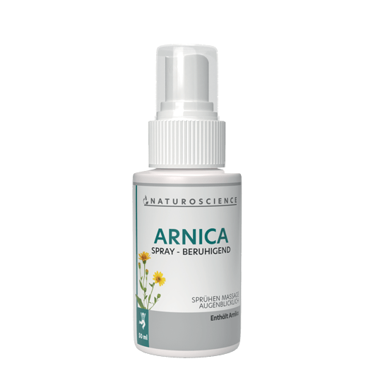 Arnica