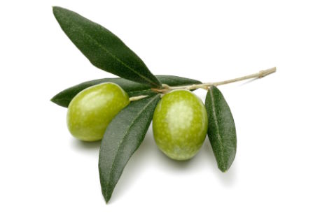 Oleuropein